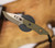 HERETIC KNIVES KOBOLD BOWIE BRONZE STANDARD OD GREEN G10 HANDLE SCALES. H065-7A-OD-G10