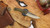 BUCK ALPHA GUIDE PRO RICHLITE 4.5IN STAIN DROP POINT 13622