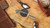 DAWSON KNIVES COMPANION MAGNACUT AZ COPPER