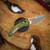 MICROTECH M-STITCH RAM-LOK APOCALYPTIC STANDARD OD GREEN