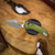 MICROTECH M-STITCH RAM-LOK APOCALYPTIC STANDARD OD GREEN 169MRL-10APOD