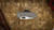 ATTN 2 DETAIL MARK 2 GEN 4 LARGE STONEWASH SATIN, MAGNACUT, HISSATSU COMPOUND GRIND, TITANIUM TREADPLATE, GREY WASH TI CCA2D26-1