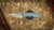 ATTN 2 DETAIL MARK 3 GEN 4 LARGE STONEWASH SATIN MAGNACUT, HISSATSU RISING GRIND, COUNTOURED FRAG SHIPWRECK ANNO CCA2D26-5