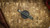 ATTN 2 DETAIL MARK 3 GEN 4 LARGE STONEWASH SATIN MAGNACUT, HISSATSU RISING GRIND, COUNTOURED FRAG SHIPWRECK ANNO CCA2D26-5