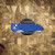 PROTECH KNIVES TR-3 AUTO, BLUE HANDLE, FISH SCALE, ACID WASH 154 CM, WHITE PEARL BUTTON, SERIALIZED OF 115 BSA26.TR3.1