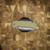 MCNEES KNIVES PM MAC 2 3.5 JIGGED GREEN/ BRONZE, STONEWASHED BLADE, STONEWASHED HARDWARE, MAGNACUT SIMS1T1554