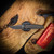 Chaves Knives Disciple Street Jake McCoy Design | Stonewash Framelock Red Label Drop Point Knife