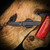 Chaves Knives Arrestor 229 - Brad Blount Design | Red Label Magnetic Integral Sheepsfoot Knife | Grey PVD Finish | M390 Steel Blade