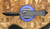 Heretic Knives Hydra Hand Ground Vegas Forge Reptilian Tanto Blade Carbon Fiber Chassis DLC Hardware CCHydra-SN015