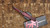 Microtech Ultratech Gen IV Half Tri-Grip Red Abrasion Standard 11234HT-1RDAA