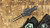 Heretic Knives Colossus Double Edge Bronzed Cracked Ice Croc Inlays Bronze Hardware BSATL26-008