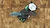 Heretic Knives Jinn Manual Metallic Teal Carbon Fiber H213-MT-CF
