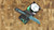Heretic Knives Jinn Manual Metallic Teal Carbon Fiber H213-MT-CF