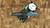Heretic Knives Jinn Manual Metallic Teal Carbon Fiber H213-MT-CF