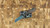 Heretic Knives Jinn Auto Metallic Teal Carbon Fiber H113-MT-CF