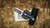 Morein Made Knives EDC -Fixed Blade 1