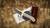 Morein Made Knives EDC -Fixed Blade 2