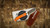 Morein Made Knives EDC -Fixed Blade 3
