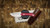 Morein Made Knives EDC -Fixed Blade 7
