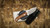 Morein Made Knives EDC -Fixed Blade 11