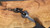 Dawson Knives Harvester - Hamon - Differential Heat Treat / Covenant G10