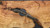 Dawson Knives Woodsman - Rainstorm / Arid Camo G10