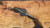 Dawson Knives Outcast - Hamon - Differential Heat Treat / Arid Camo G10
