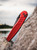 ProTech Knives Peace Neighbor Avalon, Knurled Red, DLC Black Magnacut blade PN1103-Red
