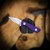 Auxiliary Manufacturing Runt Fixed Blade Knife - Purple G10 Handle - Premium Production Quality