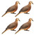 ZINK ZNK-DOVE-4PK FULL BODY DOVE 4PK TSW|194509