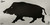 EZ-Aim 15801 Boar Adhesive Thermal ID Paper 24" x 12" Black/Gray TSW|161253