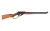 DAISY WINCHESTER LEVER ACTN 1892 BB RSR|DYWLAR