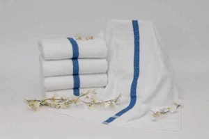 Durability Blue Center Stripe 24x48 (7.5 lbs.) (5dz)