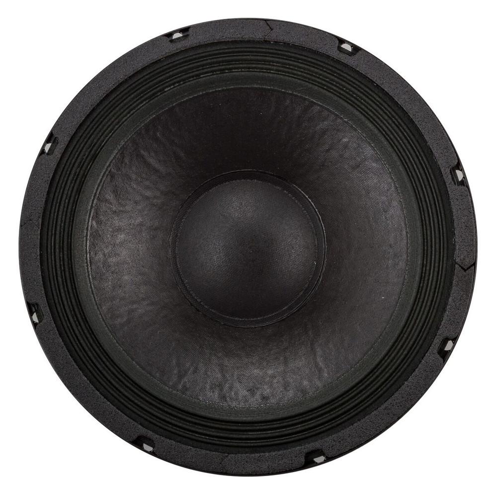 Speaker - 10" 150 Watt Acoustic - 8 ohm