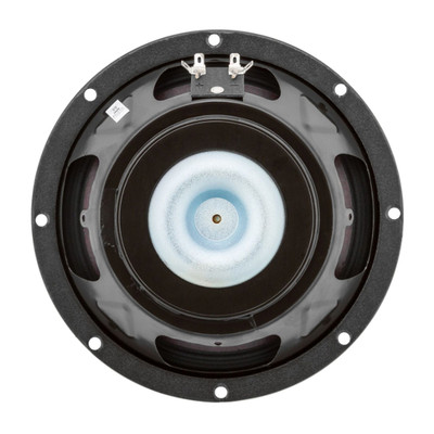 speaker acoustic 10 inch