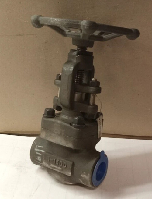 NEW WARREN GLOBE VALVE 1" SOCKET WELD 3705 PSI CLASS 1500 LB 1552-5-S