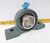 New NTN Pillow Block Bearing 2-7/8" Bore  UCPX15-215D1
