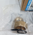 New Watts 3/4" Bronze Water Reducing Valve LFN45BM1-DU-EZ *LEAD FREE*