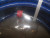 NEW POLY FLOW SERIES 4710-04 AIRLESS PAINT SPRAY HOSE MAX WP 3000 PSI 1AGF1