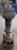 ALLEN BRADLEY 800HL-QPT10C CLEAR LED HAZARDOUS LOCATION ILLUM. PUSHBUTTON