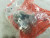 NEW WESTINGHOUSE PB1CBOAB OIL TIGHT HEAVY DUTY PUSHBUTTON PUSH-PULL MAINTAINED