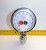 NEW 3D INSTRUMENTS 300 PSI PRESSURE GAUGE W/ DIAPHRAGM 29504-26B51 / TW1.5A.5006