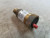HONEYWELL AIR VENT 3/4" MNPT 150 PSI BRASS SHELL 250º F EA79A1004