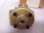 NEW ROSS 1/4" NPT / 1/2" NPT PORT PNEUMATIC PRESSURE REGULATOR 2153B2900