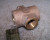 NEW JACOBY TARBOX 1" FNPT BRONZE SIGHT FLOW INDICATOR 150 PSI 10.3 PSIG