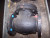 NEW NEWCO 3" CAST IRON SWING CHECK VALVE 3-125 125 WSP 200 WOG