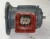 EBERHARD BAUER D-7300 .37 KW GEARMOTOR 460 V 3Ø 1600 RPM 1.6 RPM G73G01-10/DK74