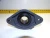 NEW NTN MOUNTED BEARING 2 BOLT FLANGE 1-3/16" BORE UCFLU-1.3/16