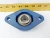 New Timken 2 Bolt Flanged Mount Bearing 1" Bore SUCBFL205-16-IP69K/F
