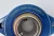 New Timken 2 Bolt Flanged Mount Bearing 1" Bore SUCBFL205-16-IP69K/F